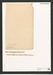 Surirella contorta Kitt. (de-Toni-Nr.: Genus 53, Species 2251) Zeichnungen Sammlung Grunow (NHMW-BOT-W0372755)